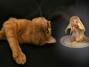 ginger, mouse, cheese, kitten