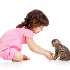 kitten, small, girl