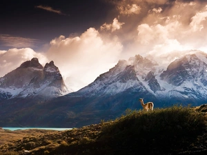 lame, Mountains, clouds