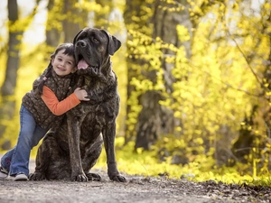 dog, Kid, Bullmastiff, lane, striped, girl
