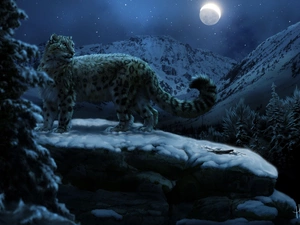 Snow Leopard, Mountains, moon, rocks