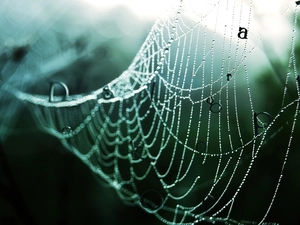letters, Web, beads
