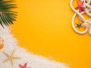 leaf, Palms, rudder, sea, Bottle, shell, starfish, line