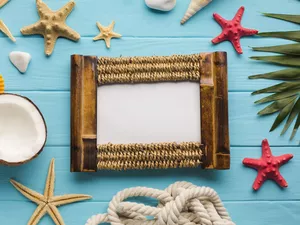 Coconut, starfish, leaf, line, frame, Shells