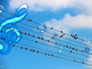 tension, musical notes, lines, high, swallow