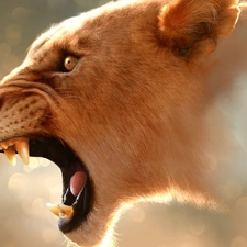 roaring, Lion