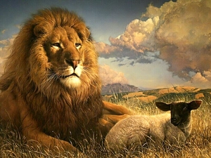 Lion, sheep