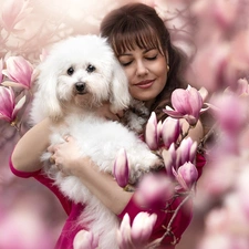 White, Women, Flowers, Magnolias, poodle, dog