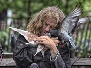 a man, birds, Deep, homeless