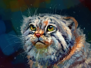 Manul, graphics