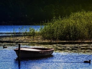 Masuria, lake, Goldopiwo