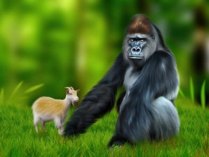 Meadow, gorilla, Goat