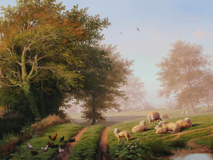 trees, viewes, Image, Way, copy, hens, Sheep, medows