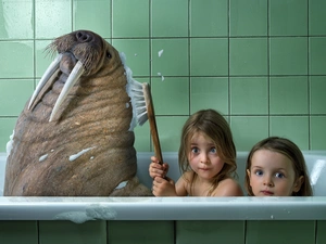 Kids, Bath, Brush, Morse