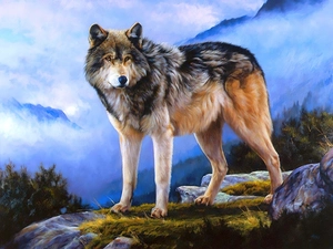Mountains, Wolf, clouds