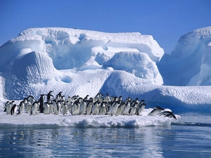 penguin, Ice, Ocean, mountains