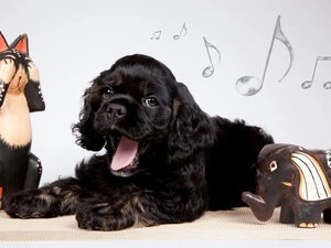 dog, Cocker Spaniel, musical notes, Puppy