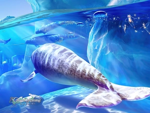 Narwhal, graphics, Kagaya