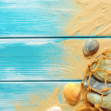 Sand, Shells, boarding, net, starfish, Blue, composition