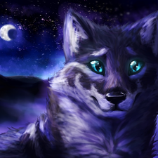 Digital Art, Wolf, Night