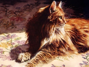 cat, forest, Drawing, Norwegian