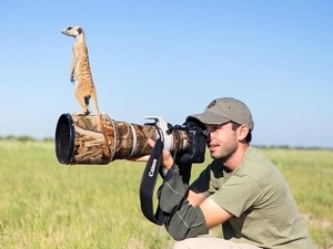 Meerkat, Meadow, photographer, objective, a man