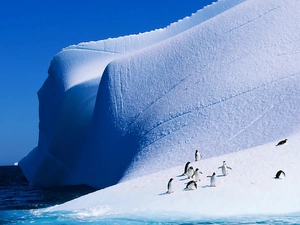 Ocean, penguin, Iceberg