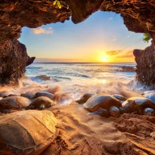 Sea Turtles, Great Sunsets, Pacific Ocean, cave, Aloha State Hawaje
