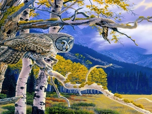viewes, Mountains, eagle-owl, trees, owl