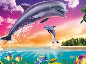 Palms, dolphins, water