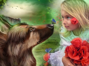 papavers, girl, greyhound