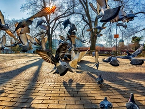 Town, Monument, Deep, Park