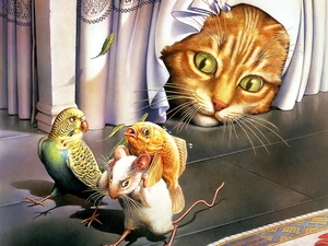 parrot, cat, mouse