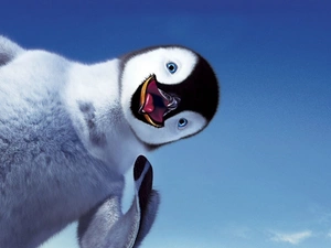 penguin, Sky