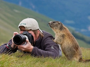 photographer, whistler