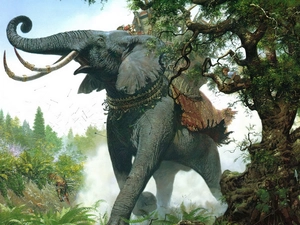 Plants, Elephant, trees