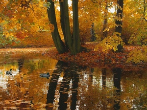 trees, autumn, ducks, Pond - car, viewes, reflection
