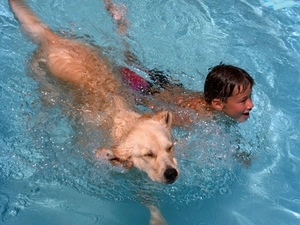 Pool, dog, Kid