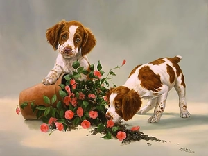puppies, Two cars, pot, Flowers, overturned, Dogs
