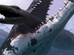 water, Two cars, predators