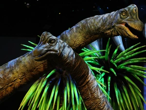 Prehistory, dinosaurs, animals