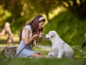 girl, Puppy, Golden Retriever, Meadow