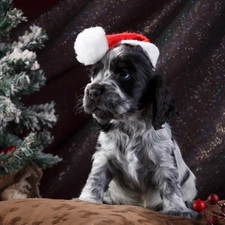 English Springer Spaniel, dog, Nicholas, christmas tree, Hat, Puppy