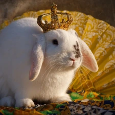 Rabbit, Crown