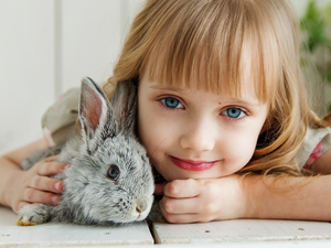 Rabbit, smiling, girl