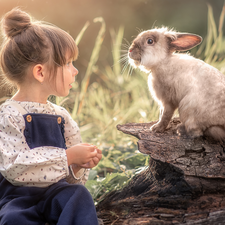 girl, trees, trunk, Rabbit