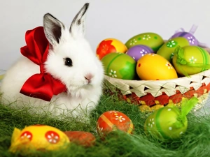 White, eggs, basket, Rabbit