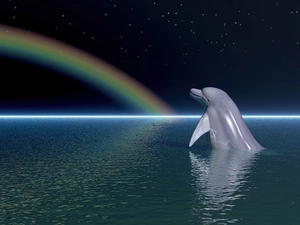 Ocean, dolphin, Great Rainbows