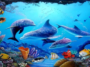 reef, fish, dolphins