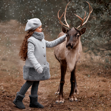 beret, reindeer, Gray, coat, girl